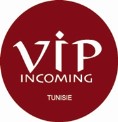 logo Vip Incoming